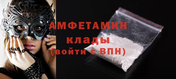 шишки Абаза