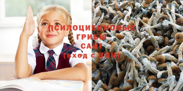 кокс Абинск