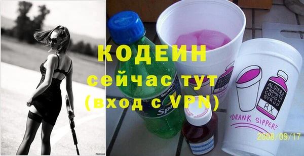 шишки Абаза
