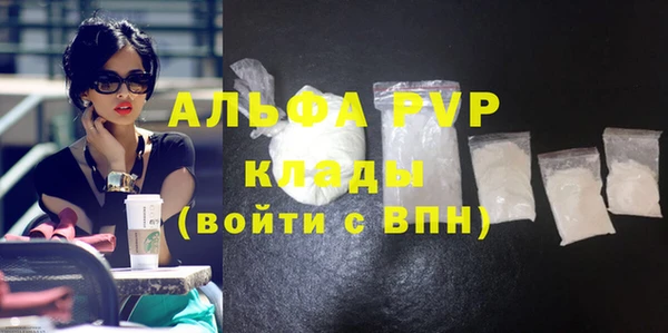 шишки Абаза