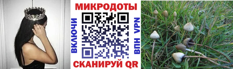наркошоп мориарти телеграм Псилоцибиновые грибы ЛСД Алдан